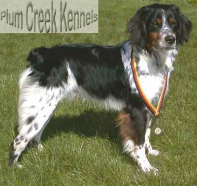 CLIATHAN JUMPING JACK, GRAND CHAMPION