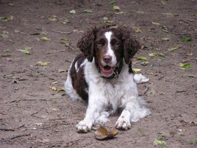 MELRIDGE REQUET O.U. KET-CHUP