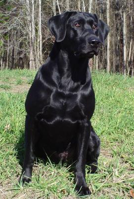 FC AFC Small Craft Advisory