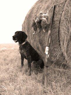 Krystal Creeks Isabella