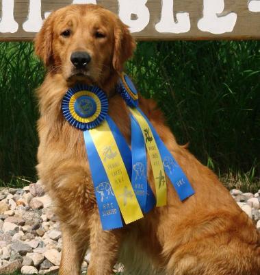 Tidewater Dirty Decoy