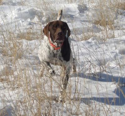 Locknload MC Badlands Dutch