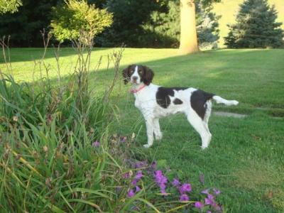Woodhaven's Lexy Raelee