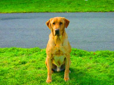 AK's Money In The Bank (Chase)