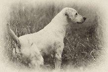 CPR Coteau View Cajun Too Hot To Handle