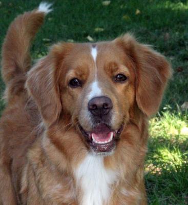 CH Water's Edge Heartsong At Skylark