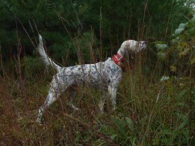 Lil Eleanor (Eleanor)