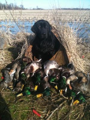 Karen Cougar Mellencamp