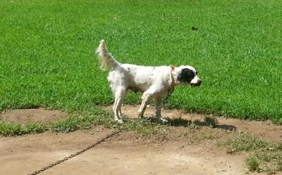 H N H CHAMPAGNE BUBBLES