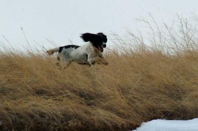 Ten Bar Ranch Fidgit - retired