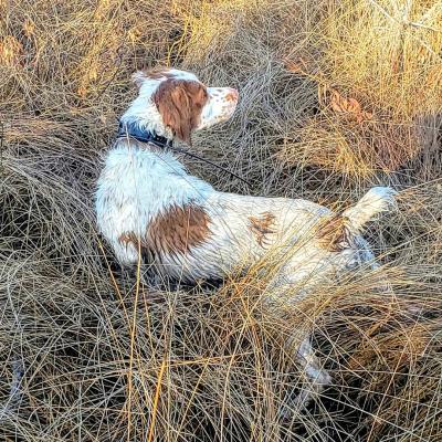 Jim's Timpanogos Tramp