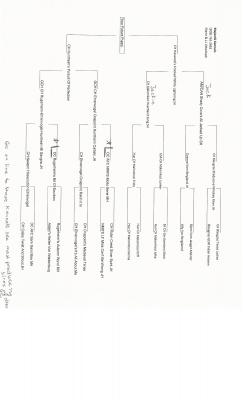 CH. Huntheim's Pursuit of Perfection & CH Hardwood's Crooked White Lightning MH