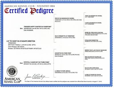 LIV TO HUNT DU S'AGAPO BRETON