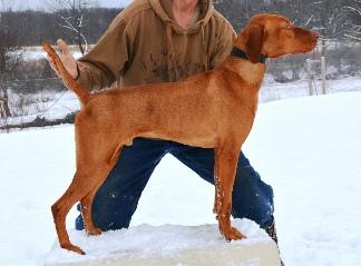 Vanguard's Rufus O' Marrowback Ridge