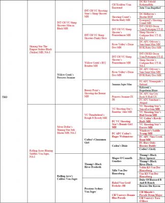 Blaze-Striker-August2018