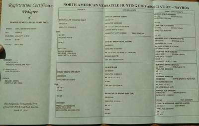 Prairie Peak's Adleys April Fool