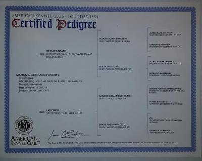 MARKS' NOTSO ABBYNORM L