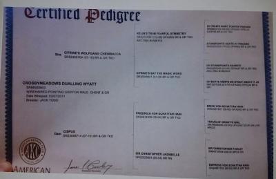 CROSBYMEADOWS DUALLING WYATT JH