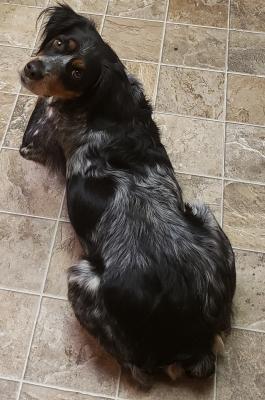 LE MONSTRE JADE DE SAINTE KELLER