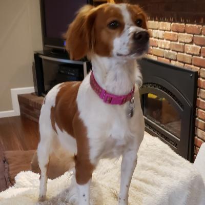 NARISSA DE SAINTE KELLER (JUNE)