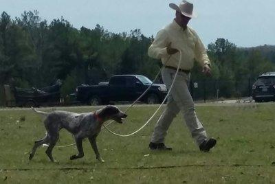 Shadydale's Cole Billie