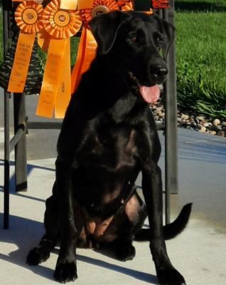 Purdy Journey Beyond