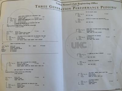 Owen Du Mackinaw Valley