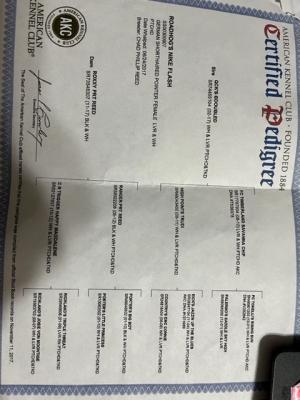 Roadhog's Nike Flash