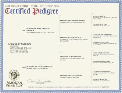 AJ's Whiskey River Girl