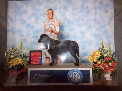 INTL CH TAKEMEHOME MAGIC IN THE SKY