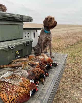 Natural State Matilda