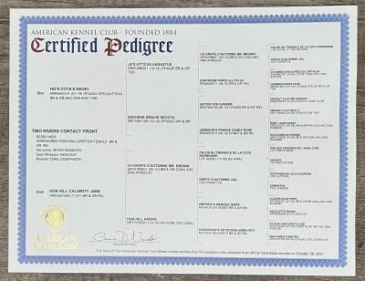 Two Rivers Contact Front