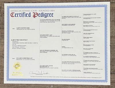 Alibis Fire For Effect