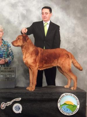 Pond Hollows Duchess in Red Velvet