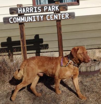 Wildhorse's Misko Moonlit Magic Of Wyndham FITB