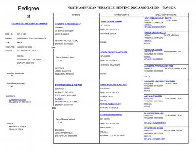Stonyridge Locked and Loaded