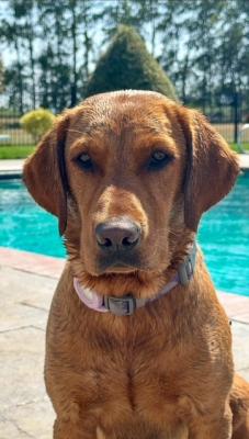 McEnpoints Mystical Princess Maui