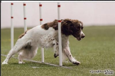 Blue River Dulcinea MX MXJ MJB XF  