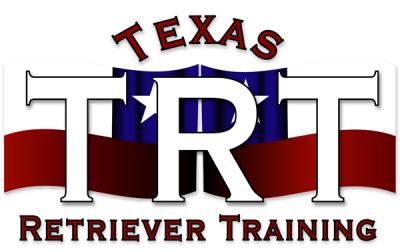 Texas Retriever Training 
