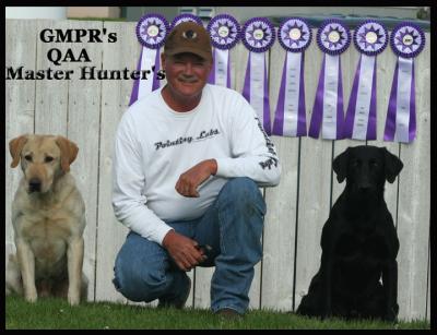 Tiger Mountain Pointing Labradors - 30 years!!