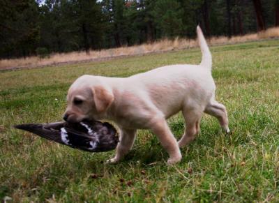 Geff Kinnaman Training