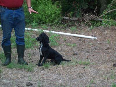 Quail Country Plantation