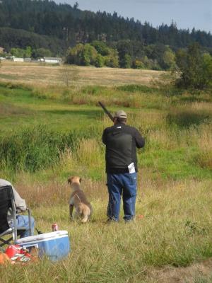 Wetland Retrievers Oregon