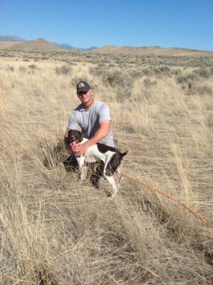 McPherson Bird Dogs and Hillbillie Kennels