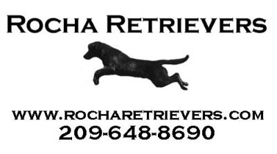 Rocha Retrievers