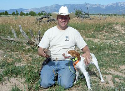 Annabella Brittany Kennels