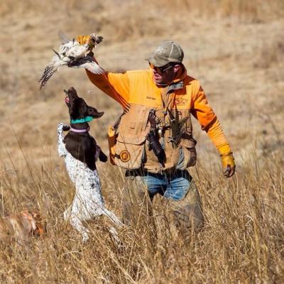 Pheasant Bonanza Hunt Club and Kennel