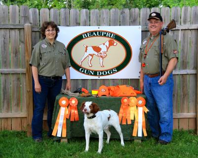 Beaupre Gun Dogs