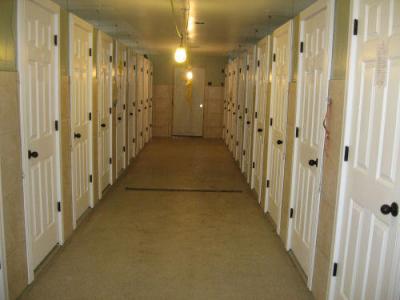 Willow Creek Kennels and Hunting