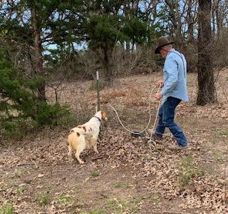 M & W Gun Dog Training